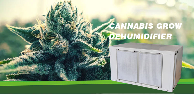 ceiling mounted dehumidifier