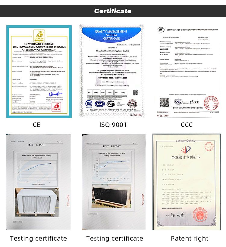 ceiling mounted dehumidifier