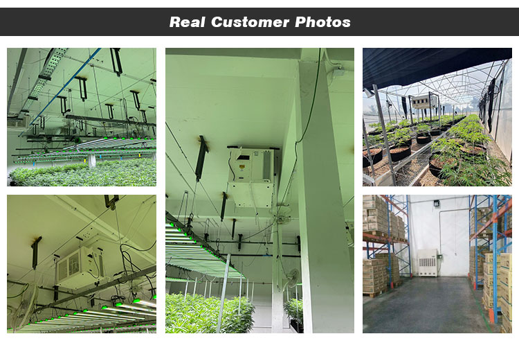 ceiling mounted dehumidifier