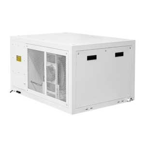 ceiling mounted dehumidifier